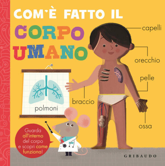 com'è fatto il corpo umano. ediz. a colori